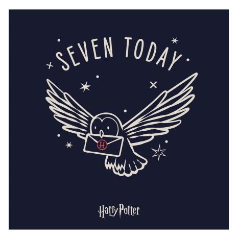 Seven Today Harry Potter 7th Birthday Card £2.10
